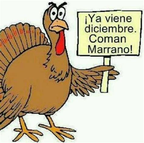 memes del pavo|Top memes de Pavos en español :) Memedroid.